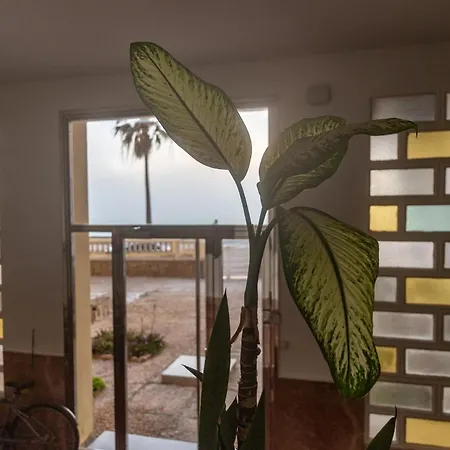 Apartment No Reservable